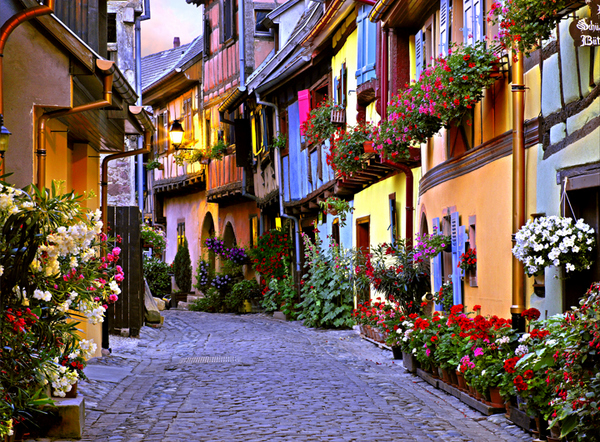 ROUTE-DE-VIN-ALSACE-001